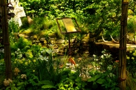 The Two Moors Chelsea Flower Show Garden - we won gold!