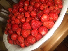 That's a lot of strawbs!